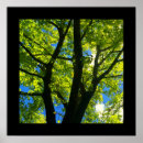 Search for 24x24 posters Square
