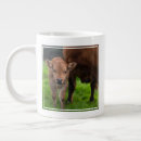 Search for the ranch mugs Cow
