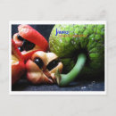 Search for jamaican postcards Ackee