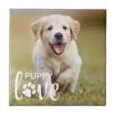 Search for pet photo tiles Puppy