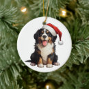Search for mountain dog Xmas