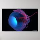 Search for eye muscles Body