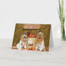 Search for golden retriever halloween cards Pumpkin