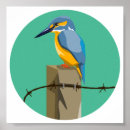 Search for kingfisher painting posters Wild