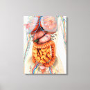 Search for spine canvas prints Healthcare