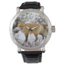 Search for canidae Carnivore
