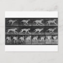 Search for 707 Eadweard