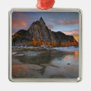 Search for cascades christmas tree decorations Washington