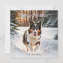 Search for welsh christmas cards Dog breed