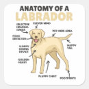 Search for labrador retriever dog stickers Puppy