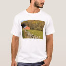 Search for red barn tshirts Chuck haney
