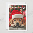 Search for dog christmas invitations Animal lover
