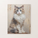 Search for ragdoll cats puzzles Feline