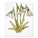 Search for snowdrop art Green
