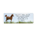 Search for ranching return address labels Cow