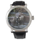 Search for otter watches Animal