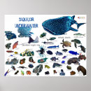 Search for underwater posters Fish