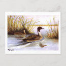 Search for tail postcards Antique