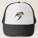 Search for birdy hats Animal