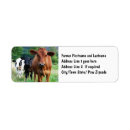 Search for field return address labels Photograph