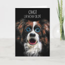 Search for border collie cartoon Pets