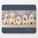 Search for retrieve Puppies