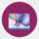 Search for orientation stickers Fashion