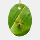 Search for barbados christmas tree decorations Tropical