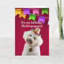 Search for poodle birthday cards Humour