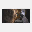 Search for the trojan mousepads Trojans