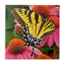 Search for swallowtail photography Flower