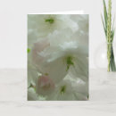 Search for romantic christmas cards Pink