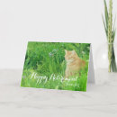 Search for cat retirement Retiring