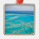 Search for coast christmas tree decorations Australia