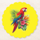 Search for macaw coasters Parrot