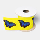 Search for morpho butterfly Tropical