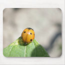 Search for growth mousepads Plant