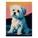 Search for bruno posters Dog
