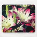 Search for daylilies electronics Botanical
