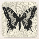 Search for insect barware Nature
