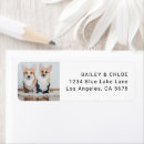 Search for cute animals return address labels Simple