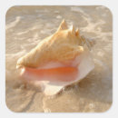 Search for conch shell stickers Nautical