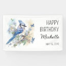 Search for blue jay Bird
