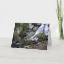 Search for grizzly cards California