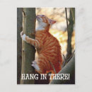Search for hang in there cat cards Motivational