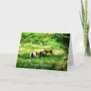 Search for horse cards Country