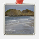 Search for seascape christmas tree decorations Landscape