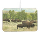 Search for animal car air fresheners Wildlife