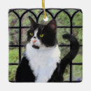 Search for tuxedo cat christmas tree decorations Black and white