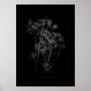 Search for white border posters Monochrome
